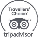 This image shows the TripAdvisor Travelers' Choice logo, featuring an owl graphic above the TripAdvisor name in stylized text.