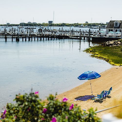 A tranquil beach scene with two blue chairs and a blue umbrella, overlooking a marina with boats, houses, and blooming flowers in the foreground.