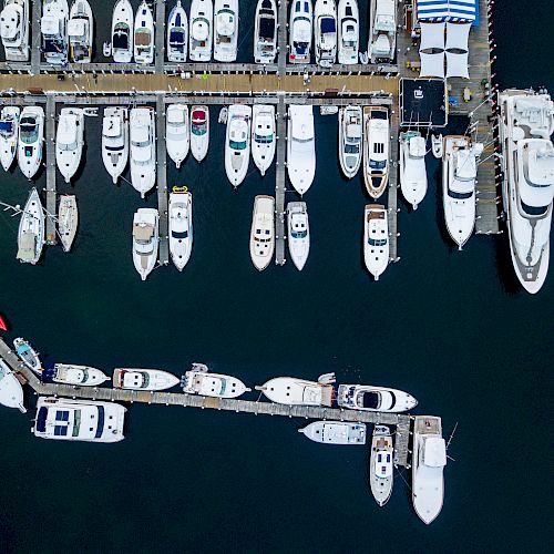 A bird's-eye view of a marina with numerous boats and yachts docked at piers over dark water.