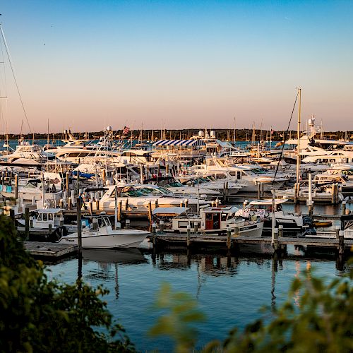 A marina filled with various sailboats and yachts docked at piers with a clear sky at dusk, surrounded by lush greenery.