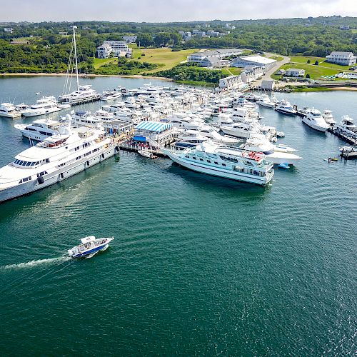 Aerial view of a marina filled with various yachts and boats, with greenery and buildings visible in the background, offering a picturesque coastal scene.