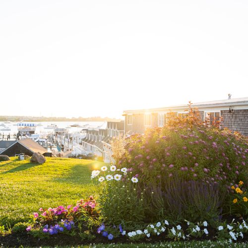 A scenic view of a seaside area during sunset, featuring lush flower gardens and waterfront buildings with boats docked in the background.