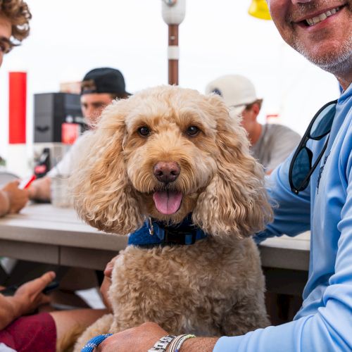 A fluffy dog with a blue collar is being held by a man in a blue shirt, with other people seated around a table in the background.