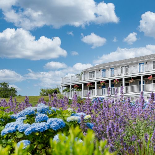 This image shows a charming house with a large porch, surrounded by vibrant purple and blue flowers, under a bright blue sky with fluffy white clouds.