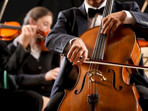 Two musicians are playing string instruments in formal attire during a performance; one playing a cello and the other a violin.
