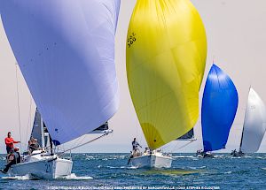 Several sailboats with colorful sails compete on open water under a clear sky.