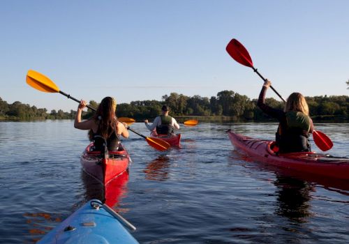 Three people kayaking on a calm body of water, each in a different colored kayak, paddling towards the horizon under a clear blue sky.