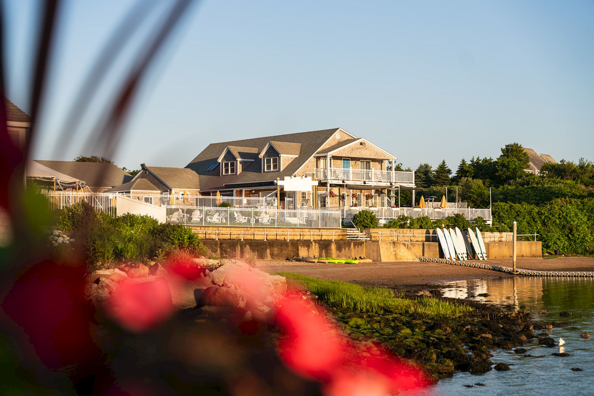 A serene waterfront scene featuring a large house with a deck, surrounded by lush greenery and with paddleboards lined up by the shore.