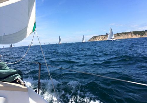 Sailing on a sunny day with several white sailboats on blue water, a rocky coastline in the distance, and a boat bow visible at the left.
