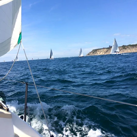 Sailing on a sunny day with several white sailboats on blue water, a rocky coastline in the distance, and a boat bow visible at the left.