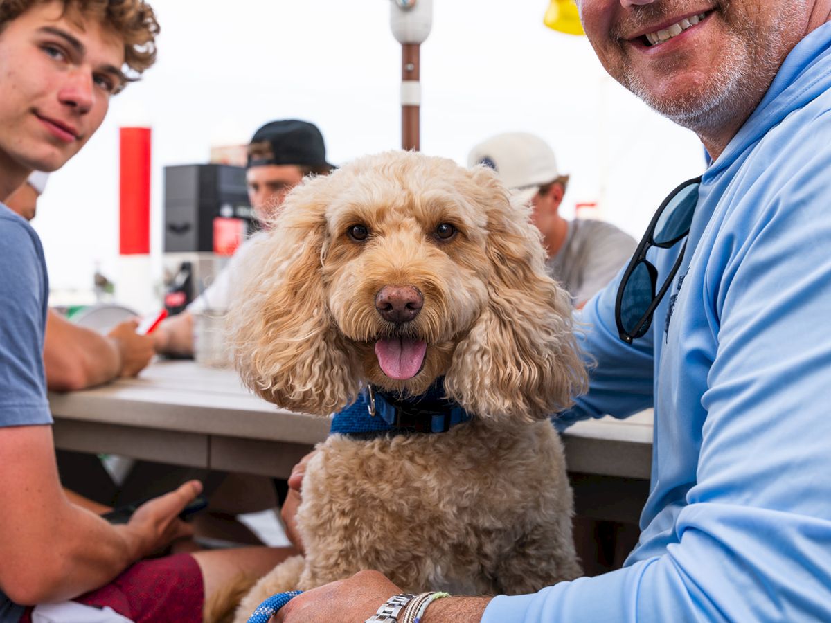 A fluffy dog sitting on a person's lap, with people in the background at a table, outdoors.